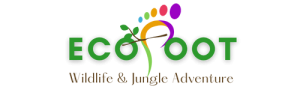 Logo Ecofoot (1)