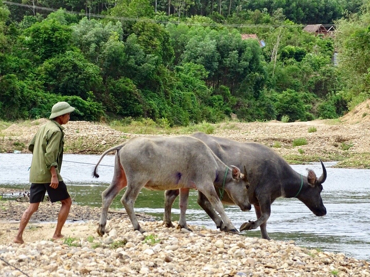 photo3jpg